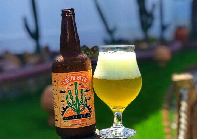 A cerveja é feita com o cacto da espécie Mandacaru, e gera uma bebida de 4,2% de teor alcoólico. Foto: André Silva/divulgação.
