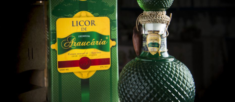 Licor de Araucária: conheça a bebida feita com folhas da árvore símbolo do Paraná
