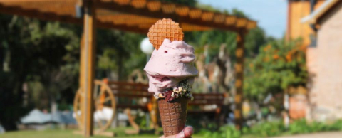 Por que não existe sorvete de vinho para vender no supermercado?