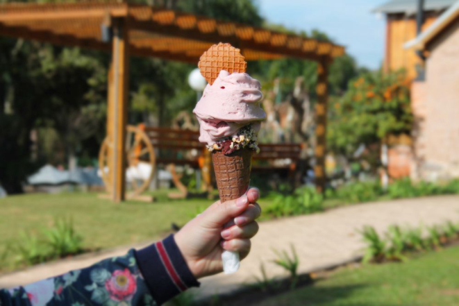 O sorvete de vinho da Casa Valduga é vendido apenas na vinícola. Foto: divulgação.