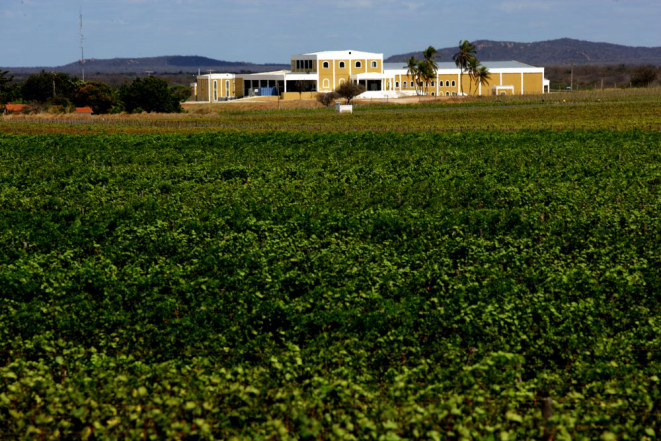 Um dos pontos altos do passeio é a visita à uma vinícola na beira do rio São Francisco, onde os visitantes descobrem que o sertão também faz vinhos e espumantes de qualidade. Foto: divulgação.