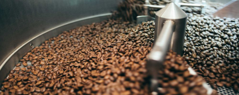 24 baristas buscam a torra perfeita do café em campeonato nacional no Municipal