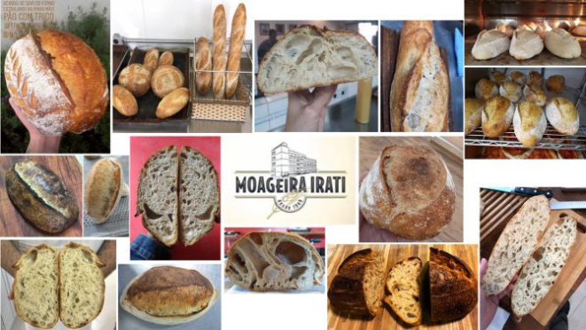 Padeiros curitibanos mostram seus feitos com a farinha de origem criada pela Moageira Irati. Foto: Divulgação