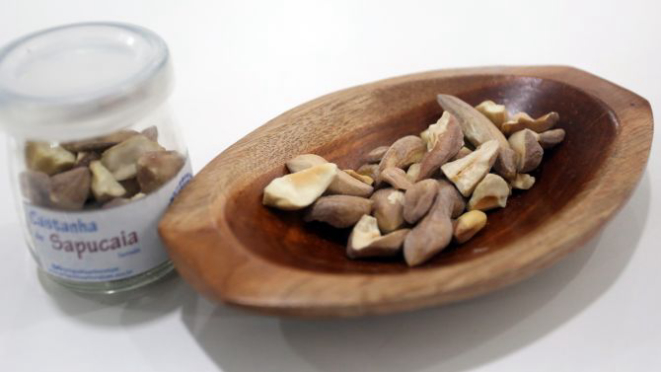 Mais adocicada e alongada que a castanha-do-pará, a castanha de sapucaia ainda está ganhando espaço na gastronomia fora das comunidades rurais. Foto: Divulgação Ana Nascimento / SFB