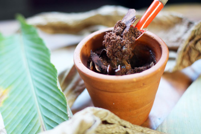 Jardinagem do Combu, sobremesa com chocolate da Dona Nena criado pelo chef Thiago Castanho. Foto: Ricardo Silva/Divulgação