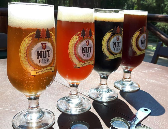 O festival terá a participação de oito cervejarias de São José dos Pinhais. Foto: divulgação.