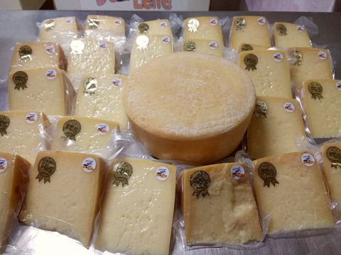 Queijo paranaense que está entre os 20 melhores do mundo surgiu de sobras de leite