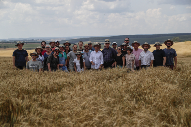 Os padeiros que trabalham com fermentação artesanal em Curitiba posam no campo de trigo da Fazenda São José após palestra de Michel Suas. Foto: Jonathan Campos/Gazeta do Povo