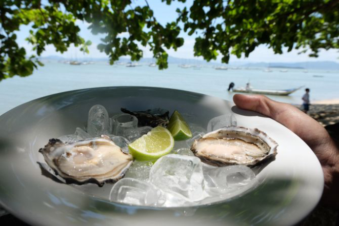 Ostras in natura. Foto: Aline Torres