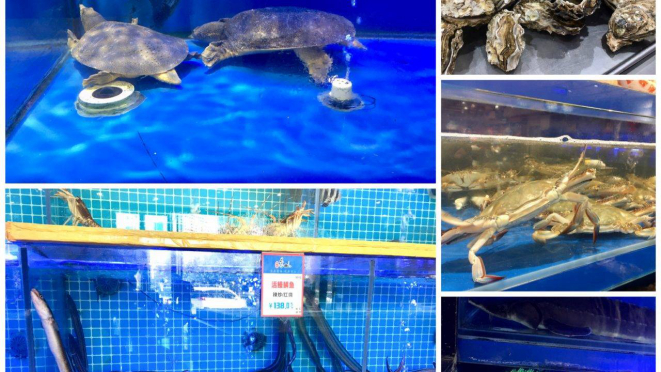 A variedade de produtos vivos e frescos nas peixarias dos supermercados deixam de boca aberta qualquer apreciador desse tipo de cardápio.
