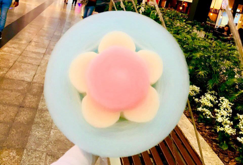 Curitibanos inventam o Cololido, máquina de algodão-doce que faz 18 modelos diferentes