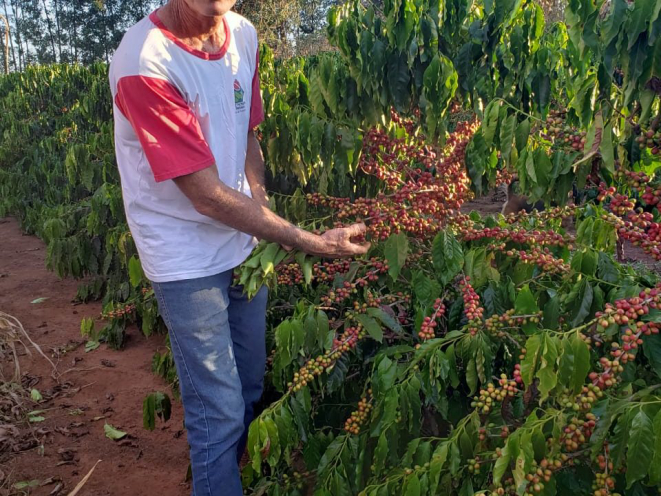 O produtor e presidente da Cocenpp, Ricardo Batista dos Santos, se prepara para a colheita de 2021. Foto: Arquivo pessoal