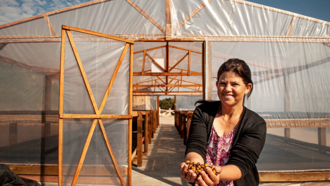 Maristela é uma das cafeicultoras do Norte Pioneiro que exportam seu produto para outros países. Foto: Projeto Mulheres Produzem