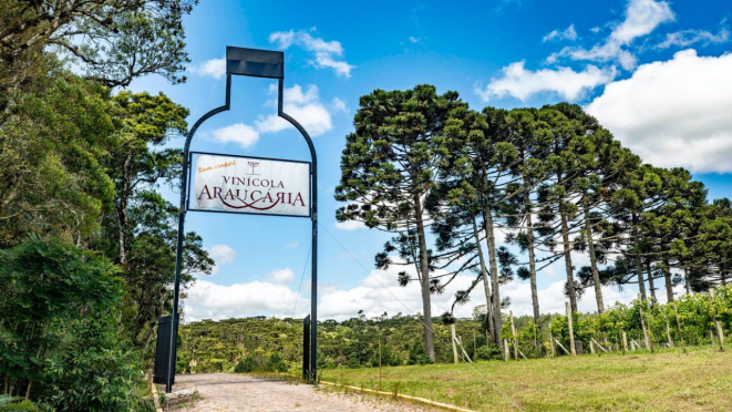 Vinícola Araucária.