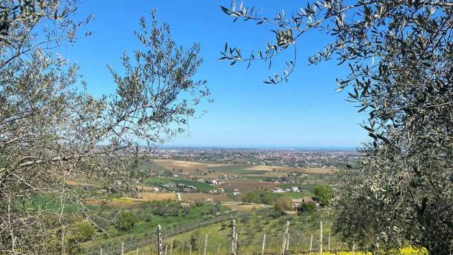 Vistamare é a propriedade do chef Carlo Cracco onde ele produz seus vinhos