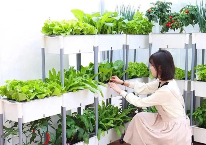 Esse estilo de vida que vem tomando conta das mídias sociais na China inspiram jovens de qualquer idade a iniciar sua horta no cantinho escolhido de casa. Muda hábitos. Faz bem para o corpo e para a alma