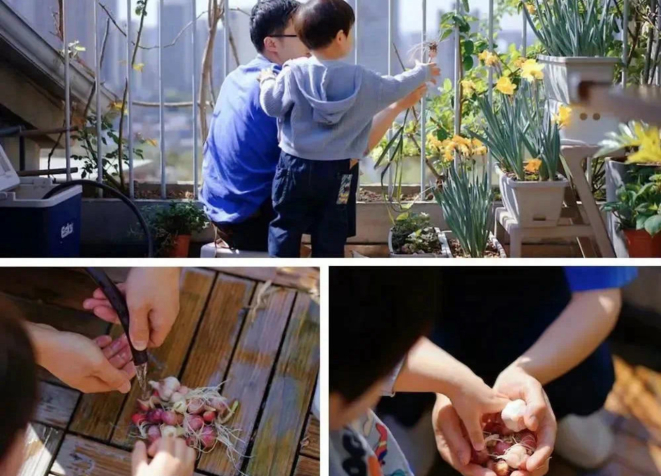 Bóralá fazer parte dessa comunidade de fazendeiros urbanos que trazem para a rotina de crianças e adultos o respeito pela história, pelo plantar e colher, pelo agricultor, pela comida fresca que chega no prato