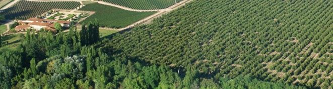 A sede da Viña Sutil, no Chile.