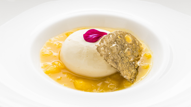 Panna cotta de coco com coulis de manga, opção do almoço e jantar do Grés Gastronomia & Empório.