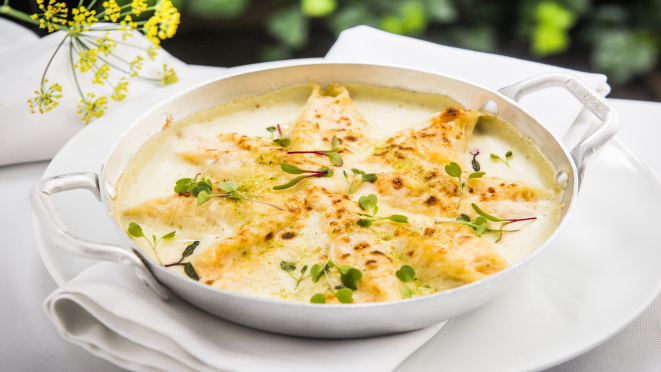 Conchiglione de salmão com ricota, servido no almoço e jantar do Terra Madre.