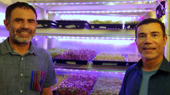 Os irmãos Anésio Jr. e Marcelo Guimarães, que produzem nove tipos de microverdes em sua fazenda urbana, nas Mercês.