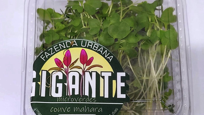 Os microverdes na embalagem (12g) para comercialização. Limpos e sem resquícios de terra ou substrato.