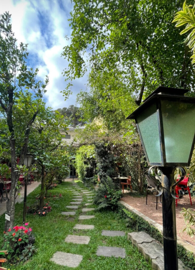 Melhor restaurante vegetariano de Curitiba