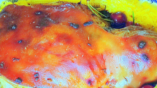 O lindo bronzeado da paleta já faz dar água na boca só no visual. | Foto: Anacreon de Téos