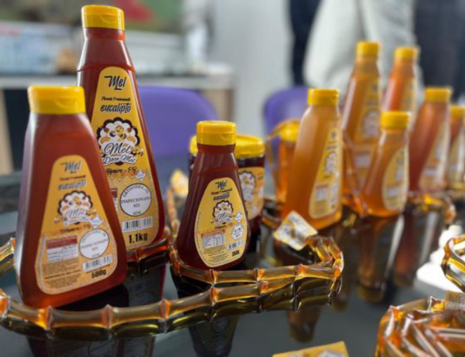 Mel de abelha de Ortigueira. Crédito: Reprodução/Sebrae-PR.