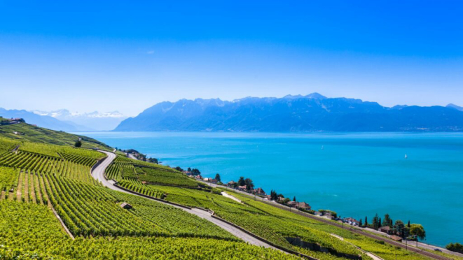 Os terraços de vinhedos de Lavaux são Patrimônio Mundial da UNESCO desde 2007, preservando séculos de tradição vitivinícola. Crédito: Samuel Borges/Canva.