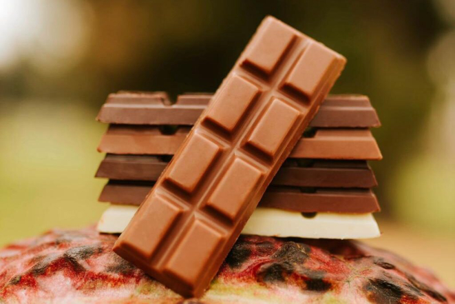 Barras da Kakaowit. Crédito: divulgação