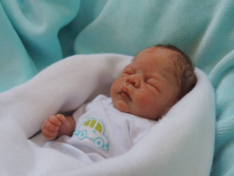 Artista plástica cria miniaturas ultrarrealistas de bebês