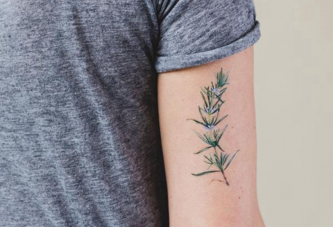 Tatuagens temporárias liberam fragrâncias na pele, como perfume de flores
