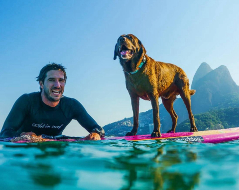 Cachorro viaja o mundo surfando com o tutor e já é tetracampeão