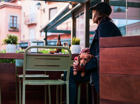 Café, restaurante, bar: um guia com 20 locais pet friendly em Curitiba