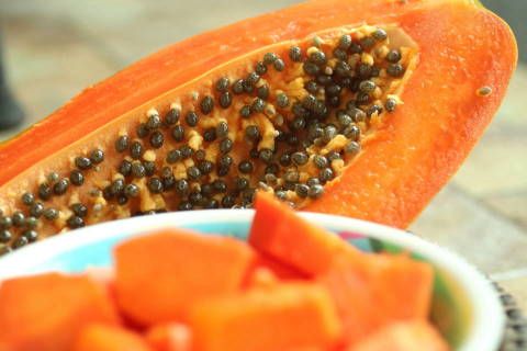 Não é só no frango e ovo; veja outros alimentos em que é possível encontrar salmonella