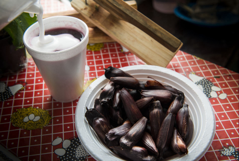 Comer pinhão na hora certa evita indigestão e problemas gástricos