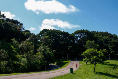 Um Dia No Parque: evento online mobiliza sociedade pela preservação ambiental