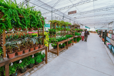 Maior floricultura do país abre nessa quinta (8) no bairro do Xaxim, em Curitiba