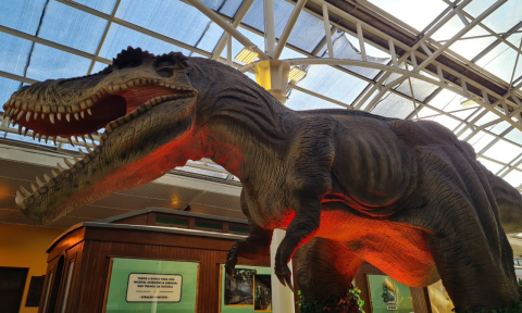 Três lugares para ver dinossauros em Curitiba e região