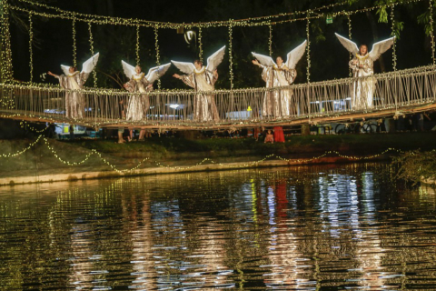 Guia de Natal: confira onde ver as decorações e atividades em Curitiba