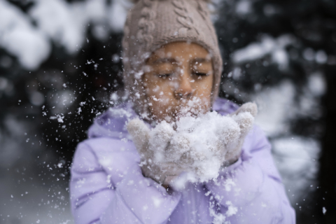 Estação de esqui em Curitiba? Sim! A cidade ganhará um parque temático com neve