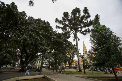 Participe da pesquisa que irá traçar o perfil do curitibano