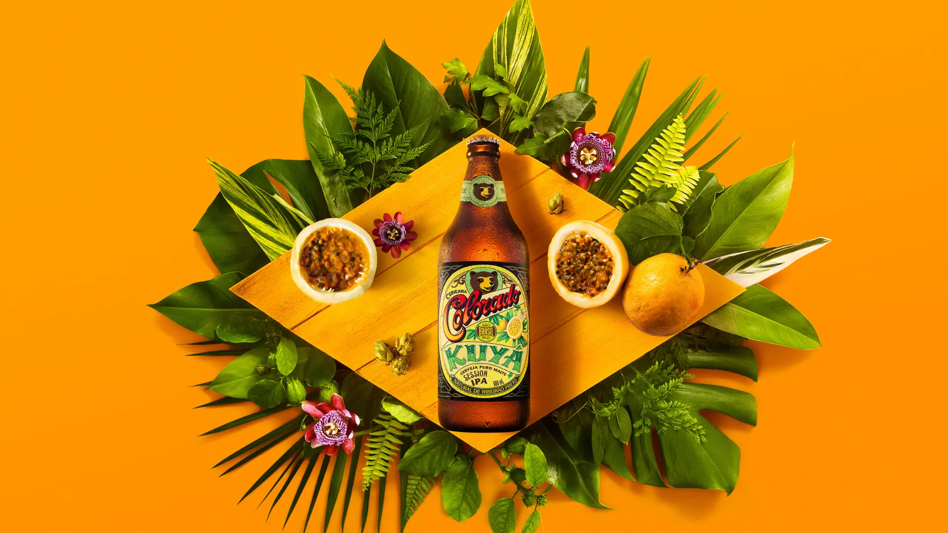Especial bebidas: confira novidades nos mercados e empórios de Curitiba