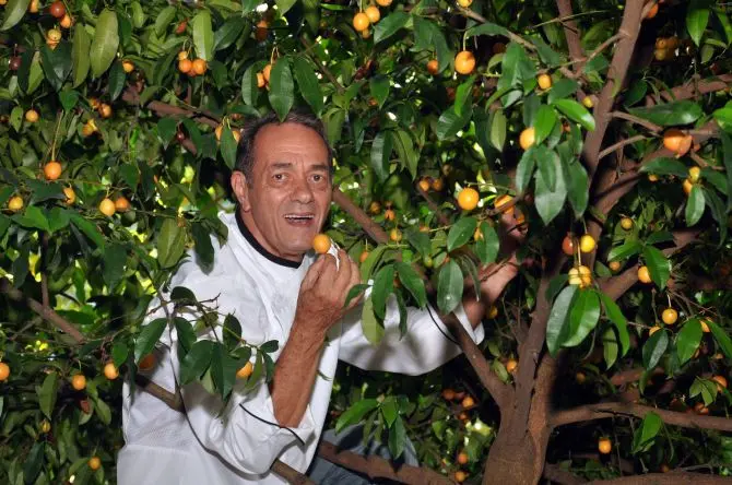 O paraíso de Beto Pimentel