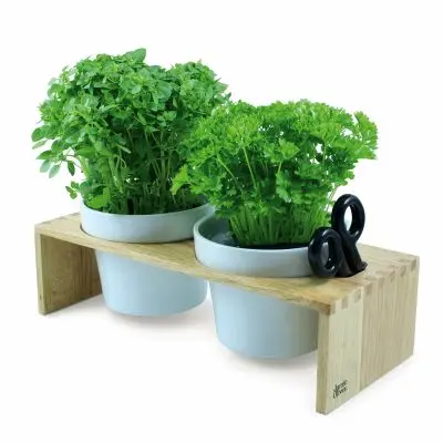 Cachepot