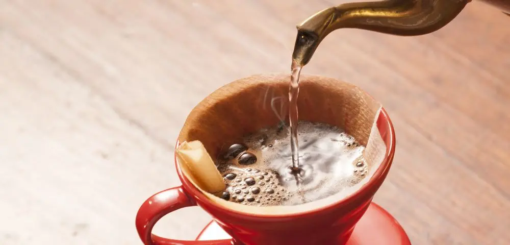 Os processos que definem a qualidade do café