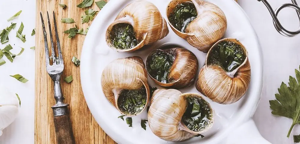 Site vende kit para cultivar escargot em casa