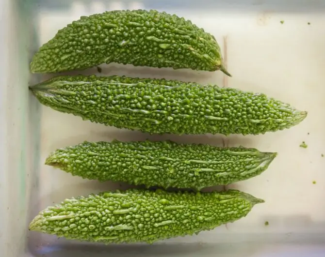 Você conhece pepino ouriçado?