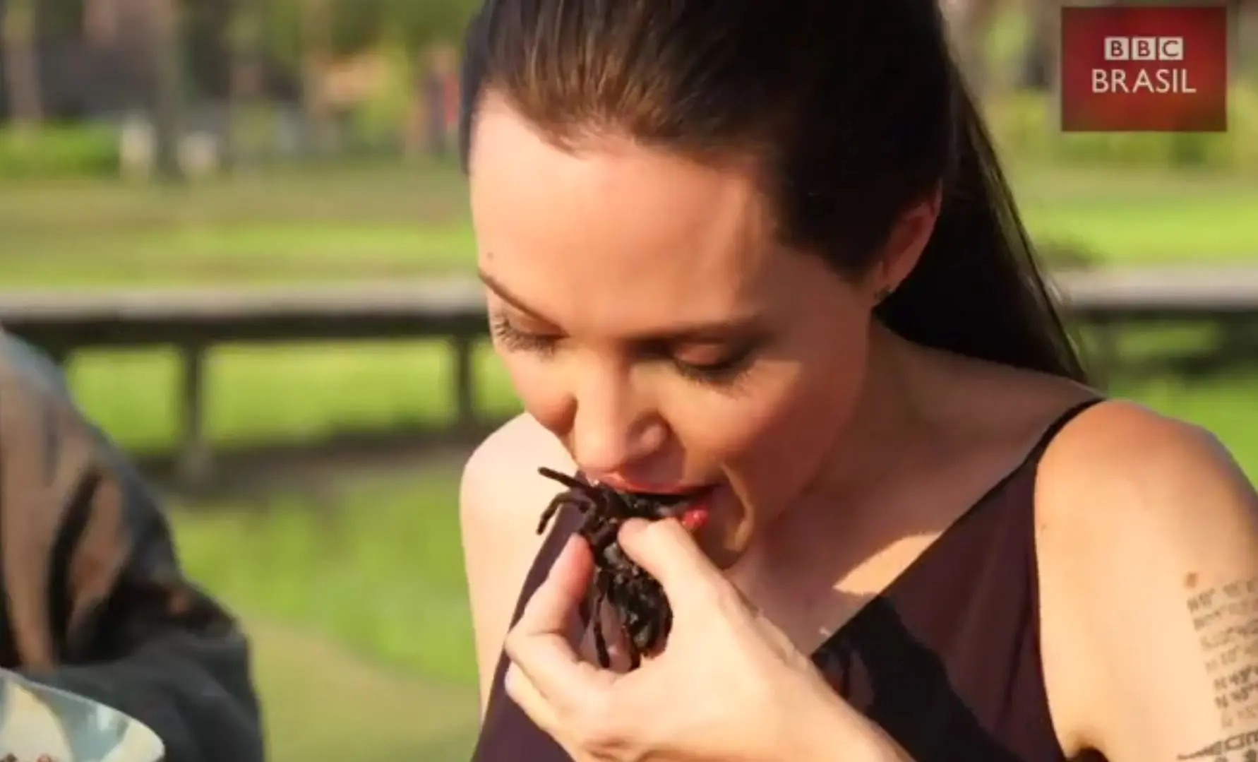 Em vídeo, Angelina Jolie ensina a cozinhar aranhas e escorpiões